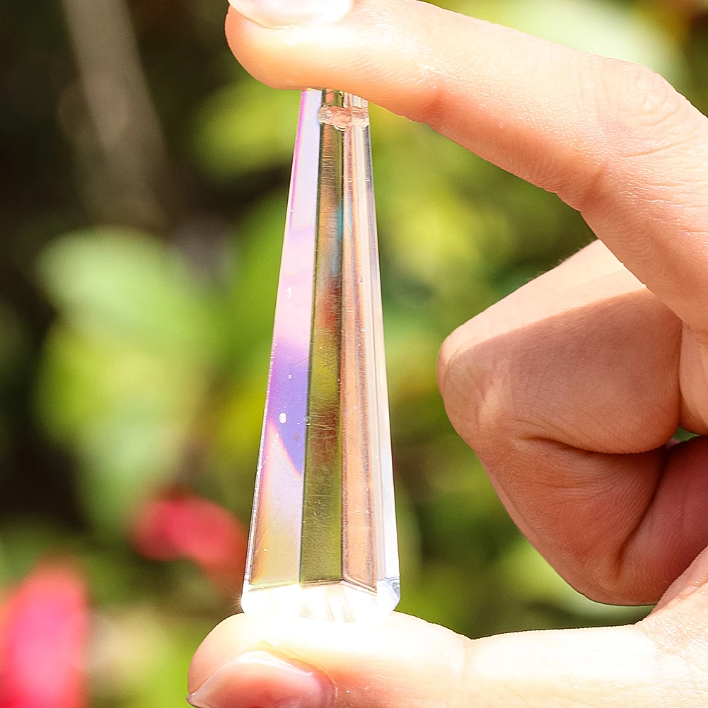 Cloche Verre Jardin