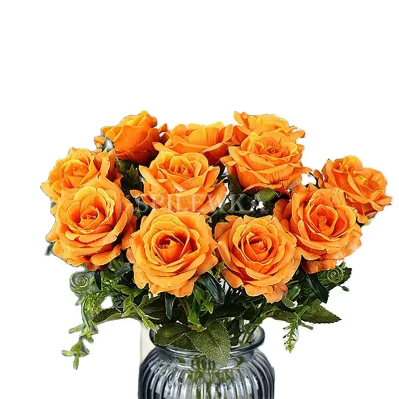 Plante Retombante Fleur Rouge