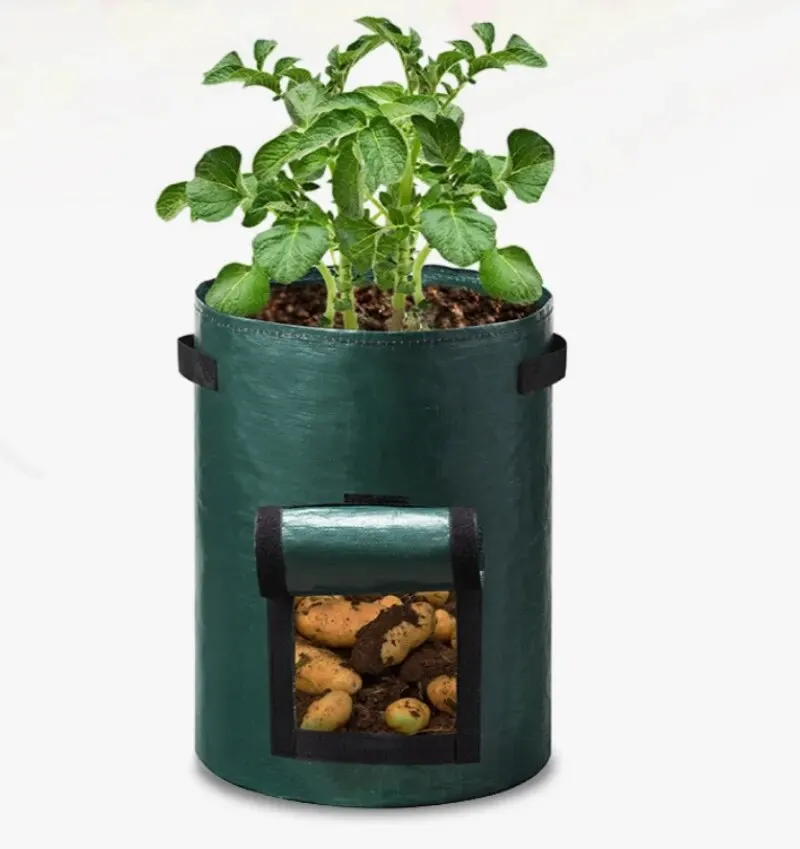 Cloche De Jardin En Verre