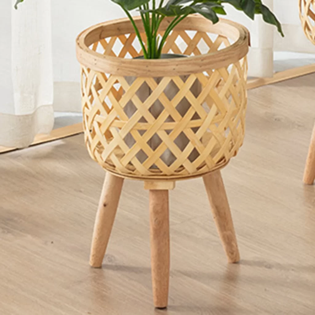 Plante Verte Rare