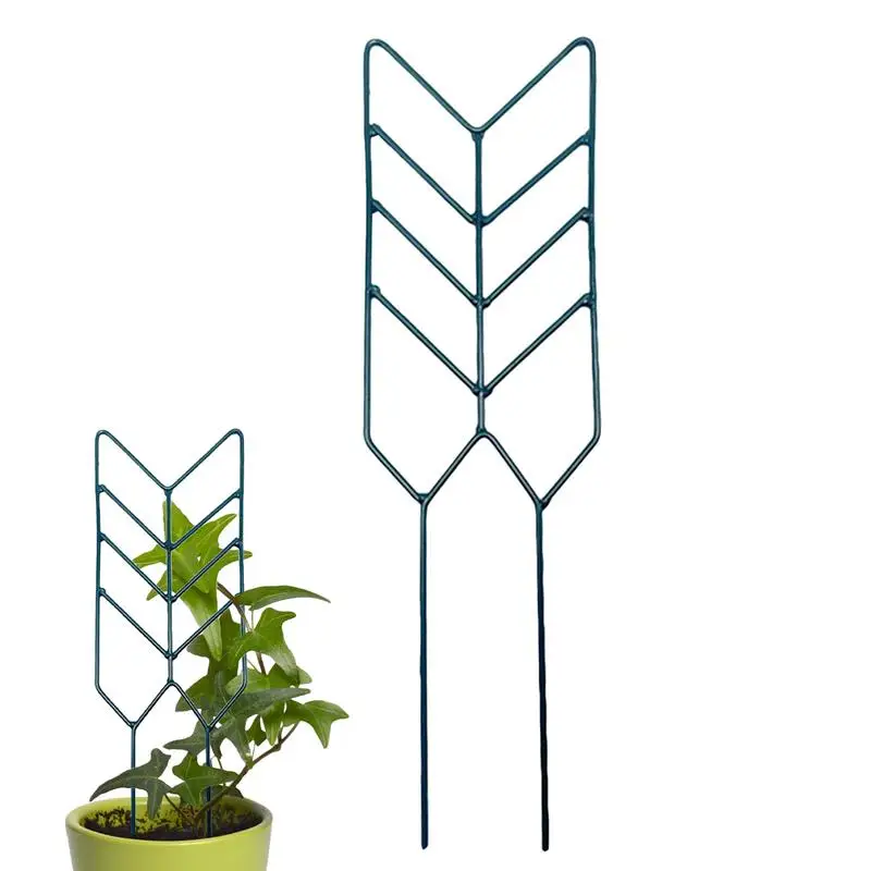 Structure Métallique Pour Plantes Grimpantes