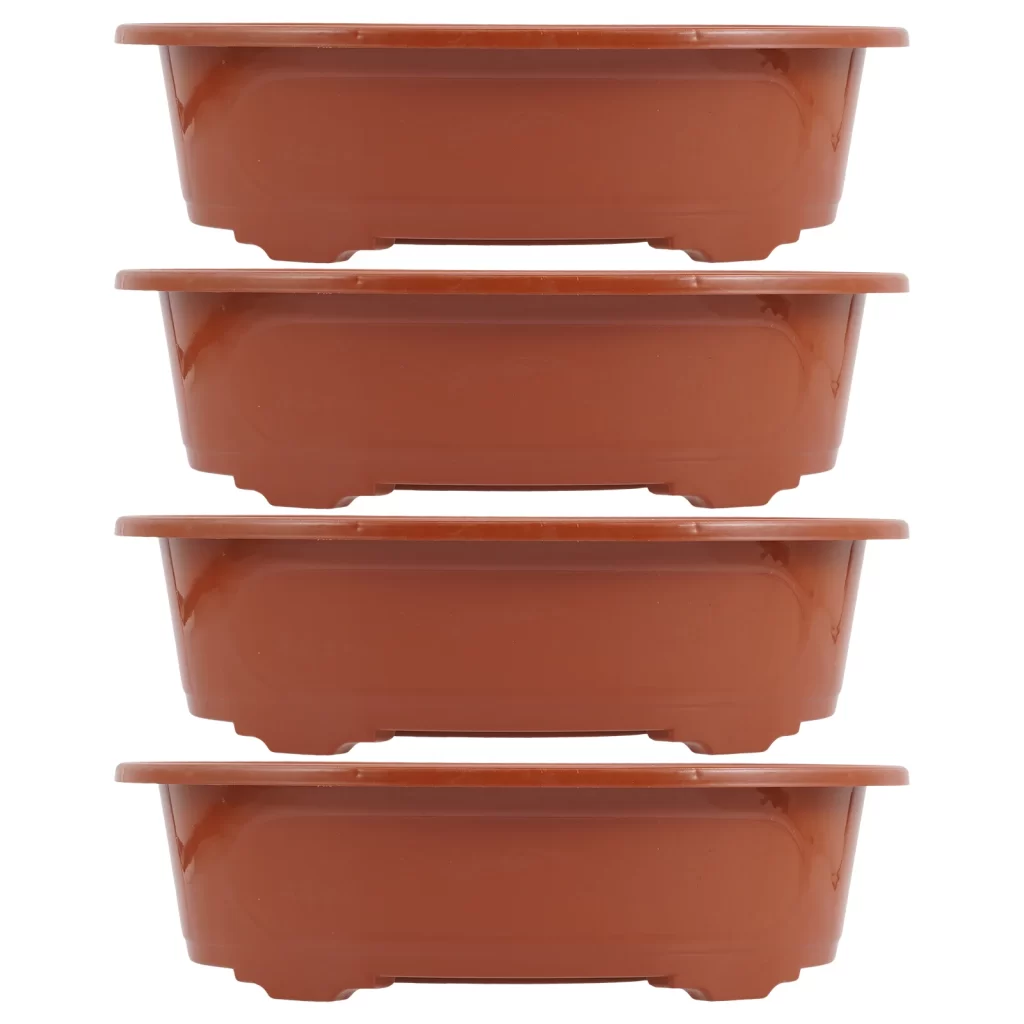 Plante De Porcelaine