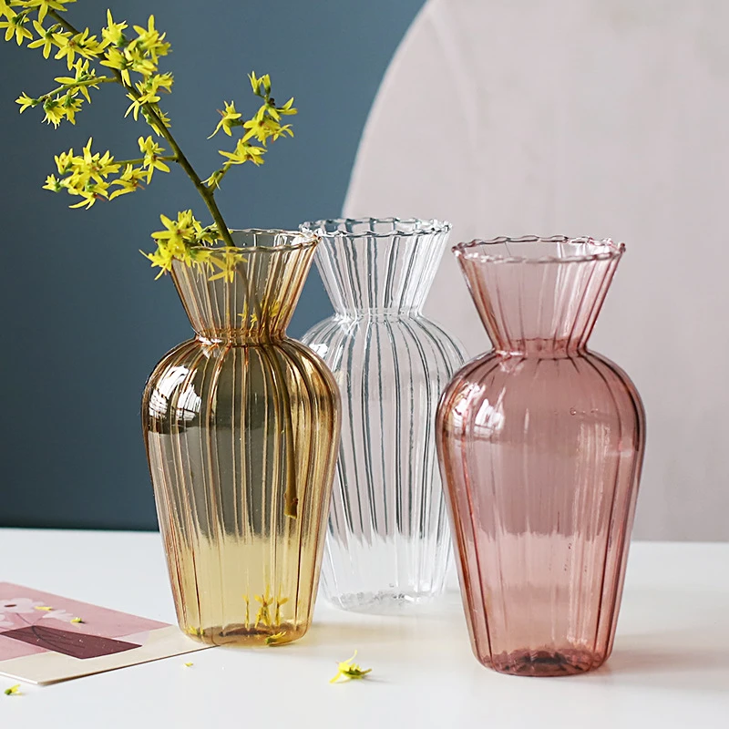 Plante Bocal Verre
